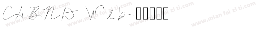 CA BND Web字体转换